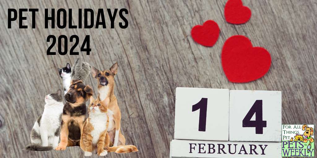 February, 2024 Pet Holidays from PetsWeekly