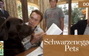 Schwarzenegger's Pets