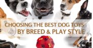 best dog toys by breed and play style