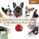 best dog toys by breed and play style