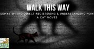 How cats walk