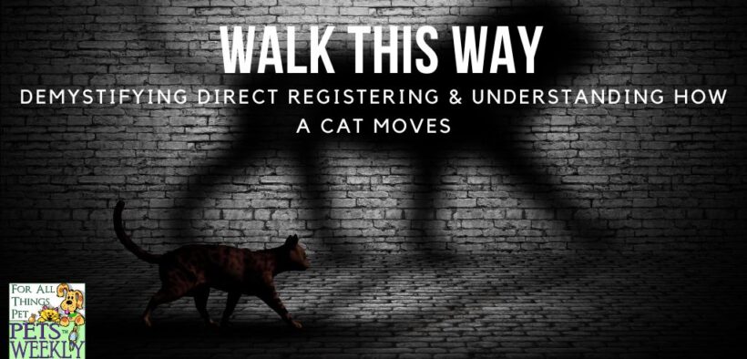 How cats walk