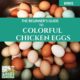 Colorful Chicken Eggs