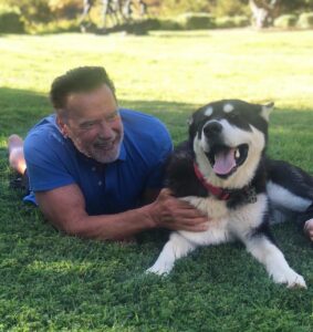 Schwarzenegger's pets Lulu