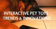 Interactive Pet Toys Trends and Innovations