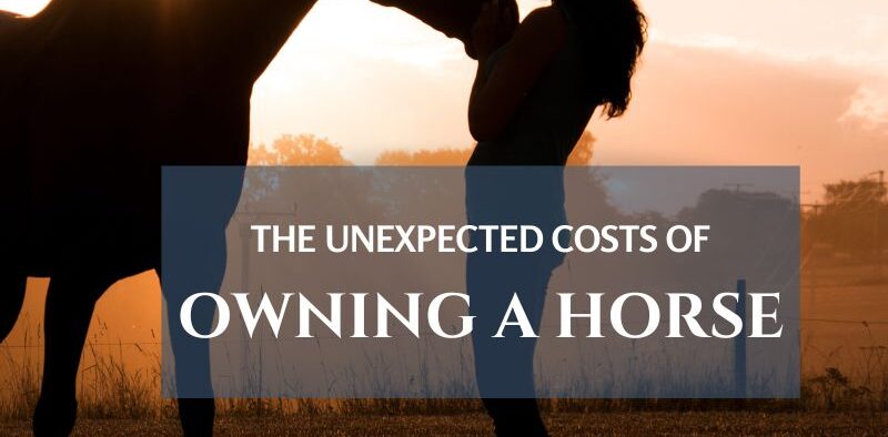 unexpected costs of horse ownership