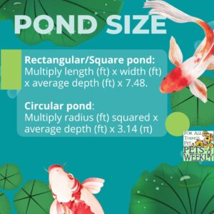 How to Calculate your Koi Pond Volume