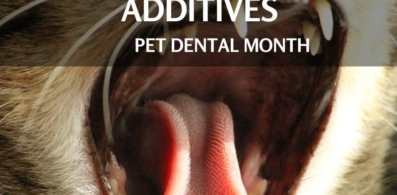 Pet Dental Chews and Additives