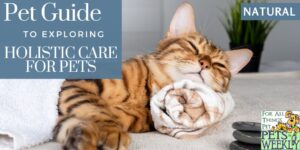 holistic pet care cats