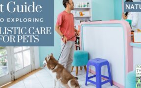 holistic pet care petsweekly