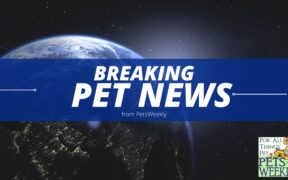 pet news
