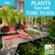 Plants that are toxic to koi