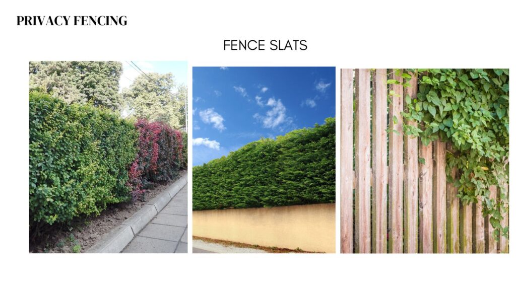 living fences for privacy