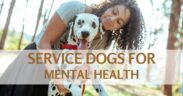 Service dogs for mental health