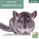 guide to caring for chinchillas