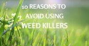 10 reasons to avoid using weedkillers