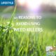 10 reasons to avoid using weedkillers